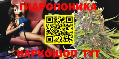 индика Кунгур