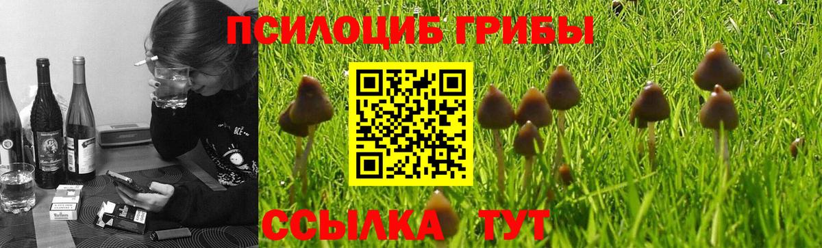 Усть-Илимск  Псилоцибиновые грибы GOLDEN TEACHER  хочу   Вход с VPN 