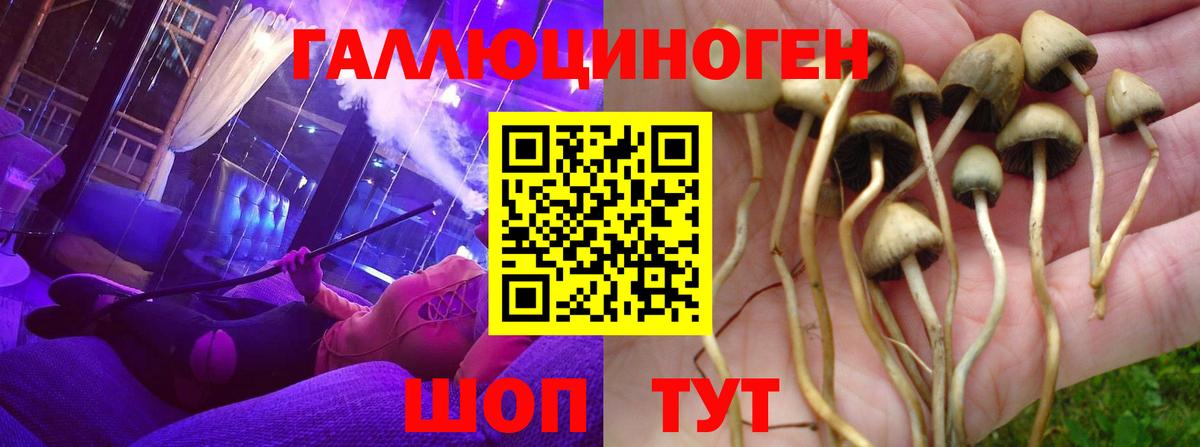 Галлюциногенные грибы Cubensis Усть-Илимск
